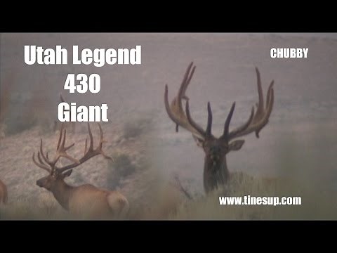 Archery Elk Hunting the 430 Utah Legend - Chubby Bull - Tines Up Episode 65