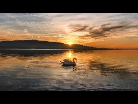 3 Beautiful Choral Pieces with Inspiring Quotes ☀️🍃