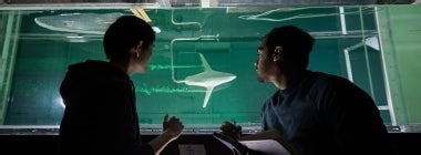 7 groundbreaking U of T innovations and ideas