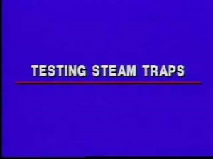 Steam trap testing