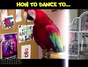 692K views · 24K shares | Fun Bible on Reels | Facebook