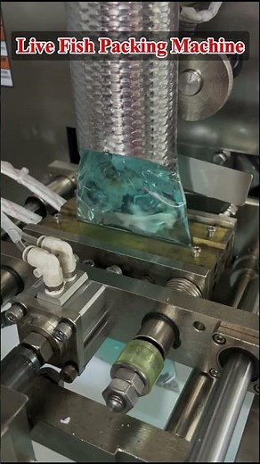 live fish packing machine, live fish packaging machine, fish packing machine