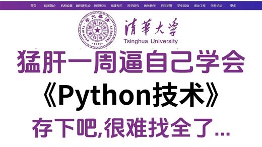 【整整826集】2025最强最细自学Python全套教程，全程干货无废话！逼自己七天学完，Python技术猛涨！从0基础小白进阶Python大神只要这套就够了！