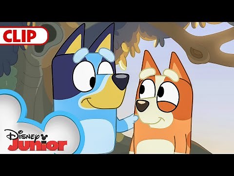 Bluey Season 1 Episode 13 "Spy Game" Episode Clip | @disneyjr | Bluey​