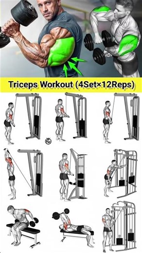 Effective Triceps Workout 🔥 #exercise #fitness #gym #gymtok #workout #shorts