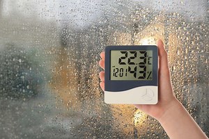 Wie viel Luftfeuchtigkeit ist normal? - Tipps für das optimale Raumklima