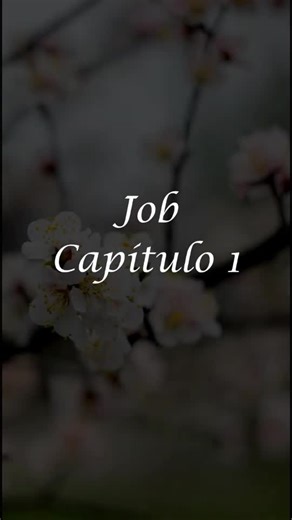 La Biblia Dramatizada Job Capitulo 1