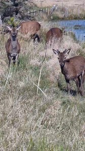 3.2K views · 27 reactions | The Weaving Shed on Reels | Facebook