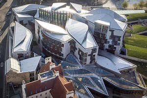 Edinburgh Zoo penguins get their annual health check and vaccination