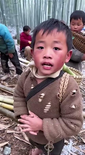 Măng rừng ngon #youtubeshorts #xuhuongyoutube