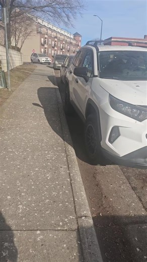 Shocking Bird Poop Accident