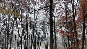 The Poconos may be America's next cryptid, Bigfoot hotspot. Here's why