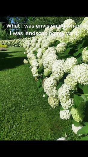 Lora Price on TikTok