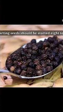 Specialty #HotPepper Farming