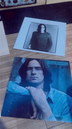 James Taylor Vinyl Box Set (the vinyl dungeon)