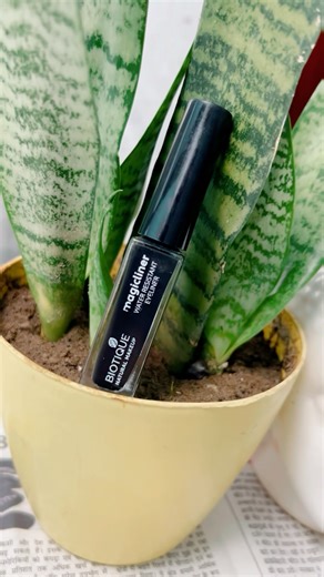 Biotique eyeliner honest review #biotique #makeuptutorial #makeup