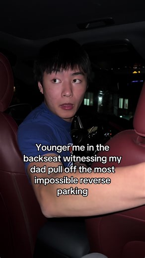 Dad's Impressive Reverse Parking Skills