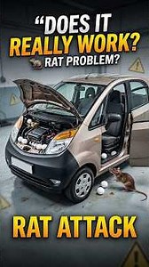 🐀 Keep Rats Away From Your Car! 🚗⚠️ Does Naphthalene Ball Really Work? #CarCare #RatProtection