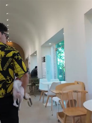 La oscura realidad de los perros en Corea y Japón