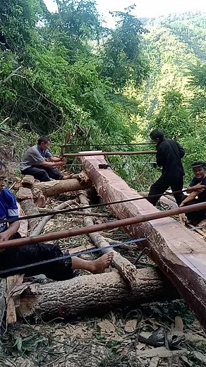 Manual Log Splitting Techniques in a Forest Setting