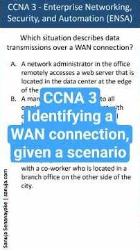 Transmissions over a WAN connection - CCNA Bite 63