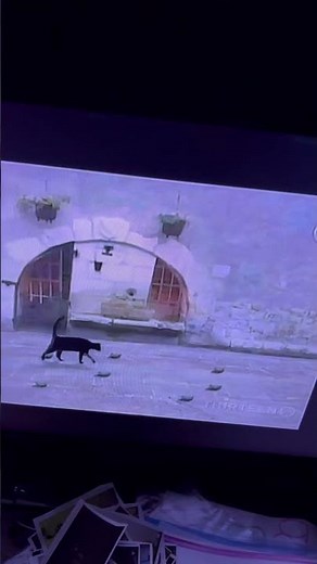 Sesame Street 7 Cats (2008) 🐈