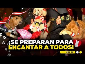 🐕🇵🇪 The K9 Brigade is ready to march! | 2026 Great Civic-Military Parade