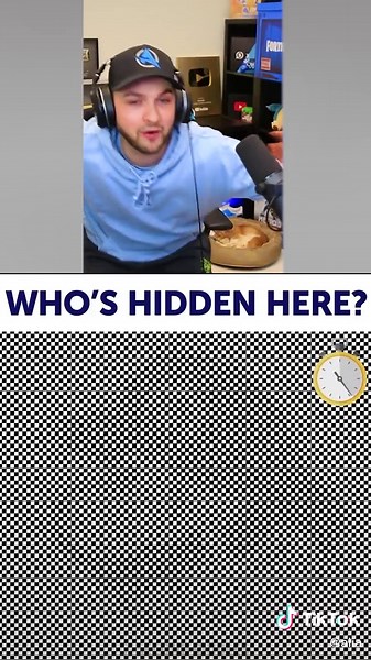 Hidden Optical Illusions Riddles Revealed