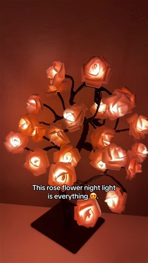 And it’s under $10 rn! #nighlight #roses #flowers #lamp