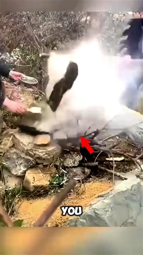 Never Make This Mistake: Wet Rocks Explode.😨😳 #didyouknow