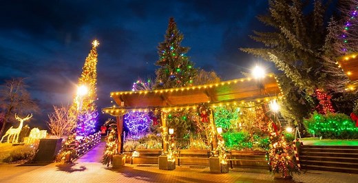 Lights by the Lake transforms Harrison Hot Springs into magical holiday village (PHOTOS) | Events