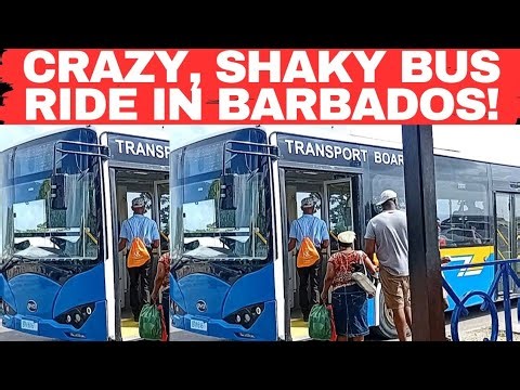 This Barbados Bus Was Shaking Like an Earthquake 😳