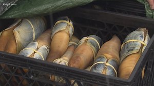 Washington salmon, orca preservation projects impacted by geoduck tariffs