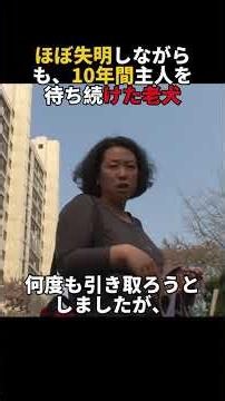 ほぼ失明しながらも、10年間主人を待ち続けた老犬#犬のいる暮らし #感動する話 #涙腺崩壊 #泣ける動画 #忠犬