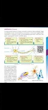 scert textbook series ₹kerala psc#psc#ldc
