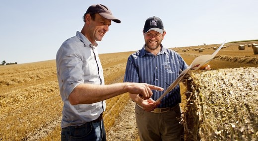 Les transformations de l’azote dans le sol | Yara France