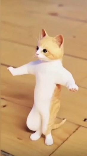 Funny Cartoon Video Compilation