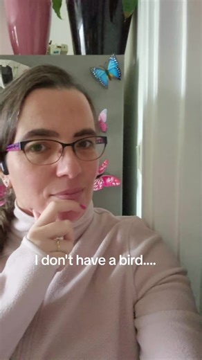 Understanding Pokémon Birds and Their Unique Traits