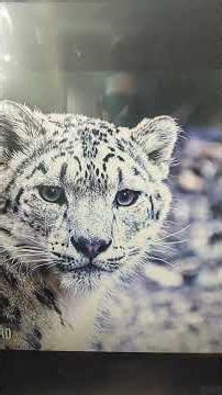 #sky strong android box #8k ULTRA HD 🔊# play store #games play store #fast working#revolution 2160hd