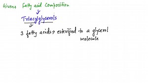 The percentage of fatty acid composition of two triglycerides is reported below. Predict which triglyceride has the lower melting point. TABLE CAN'T COPY. | Numerade