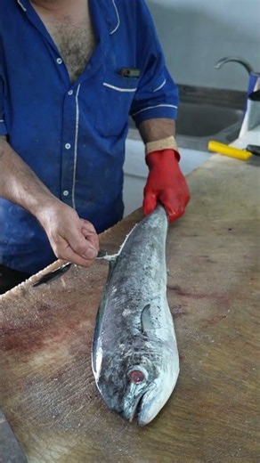 How to Cut Mahi Mahi Like a PRO! 🔥 Amazing Fish Cutting Skills
