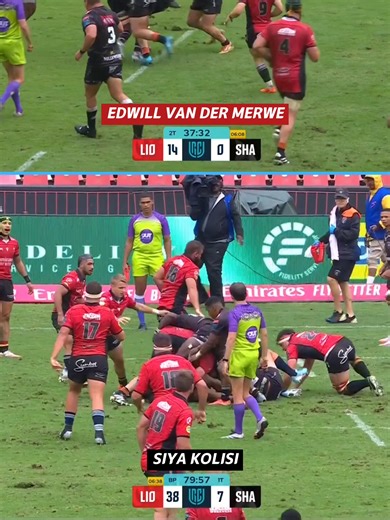 Springboks' Epic Derby at Ellis Park: Krappies and Edwill Grant Shine