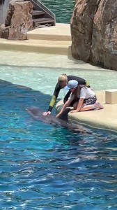 Inspiring the next generation and she’s all the way from Ireland #woohoo #FutureConservationists #interaction #seaworld Part 5 | Travisandcousins