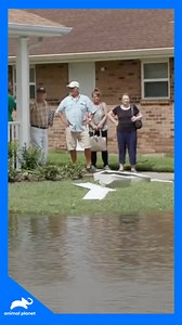 3.2K views · 30 reactions | Resgate de idosos após passagem do furacão Ida #ProtetoresDoPântano️ Aproveite o conteúdo Discovery em streaming com a MAX. Assine agora: <https://bit.ly/MAX-AnimalPlanetBR> | Animal Planet Brasil | Facebook