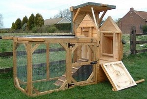 How to Build a Chicken Coop in Your Backyard - Chicken Coops Website