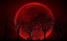 2.8K views · 45 reactions | G'day everyone. A “blood moon” The full...