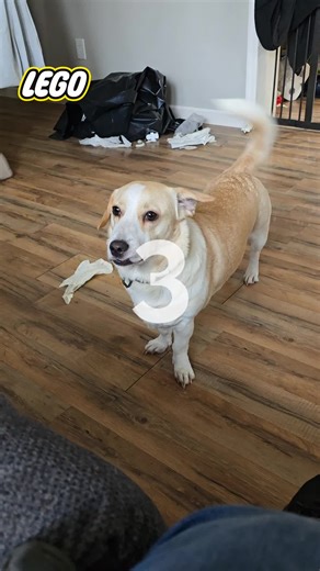 Hillary Miller (@hillarymiller7)’s videos with original sound - Potatochippopotamus