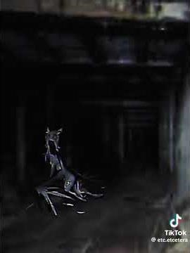 Infected rainbow dash crying for ‪@spookyghost2098‬