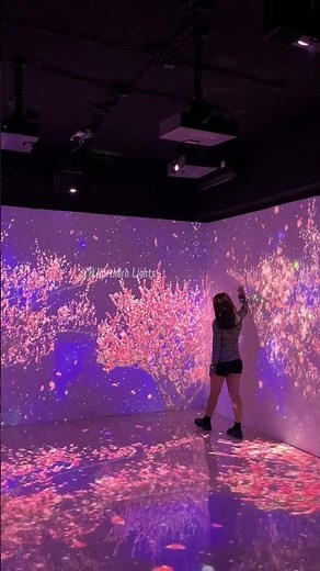 Immersive Ar Projectors Hollogram 3d Holographic Interactive Wall Projection Software Projector