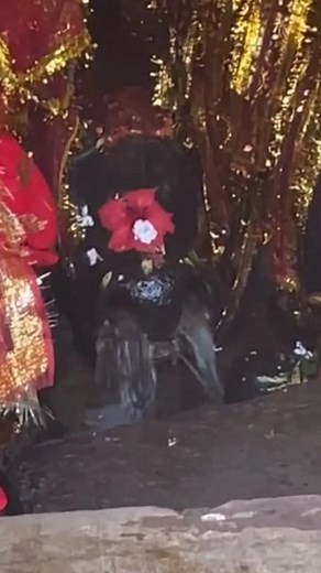 547K views · 10K reactions | Where the divine breathes life into a...